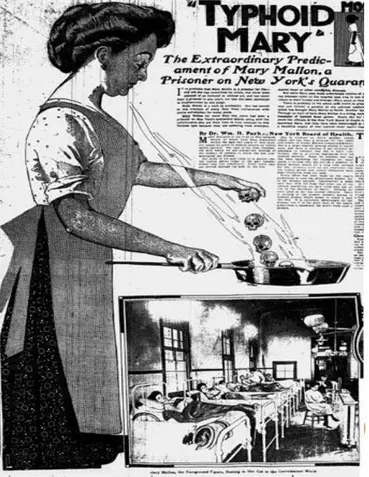 Newspaper clipping from 1909 featuring sensationalized coverage of Mary Mallon
